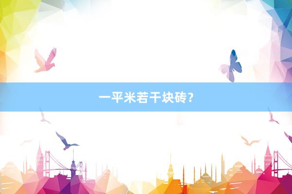 一平米若干块砖？